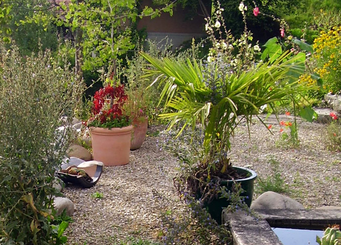 gartenpflanzen